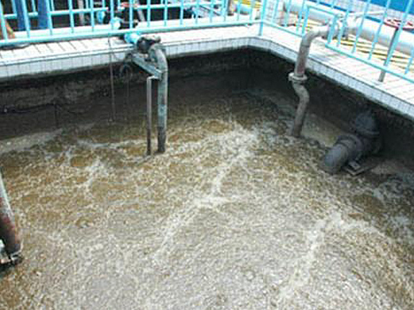 Paper mill sewage treatment